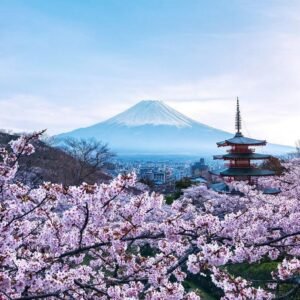 Cherry blossoms in Tokyo with Mount Fuji in background